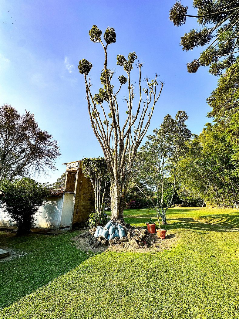 Fazenda com fácil acesso - Piscina e churrasqueira