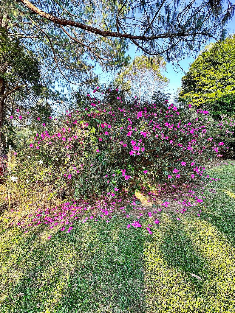 Fazenda com fácil acesso - Piscina e churrasqueira