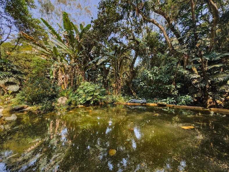 Um Refúgio de Inspiração na Granja Viana